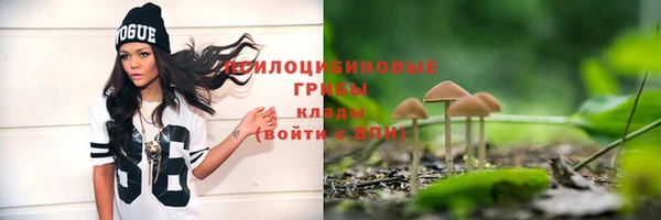 амф Алзамай