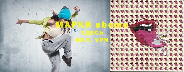 метадон Алексин