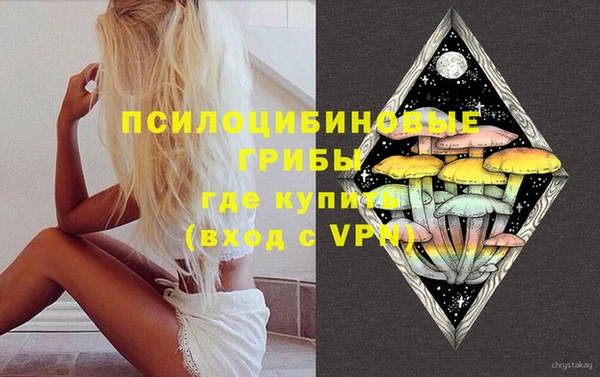 винт Гатчина