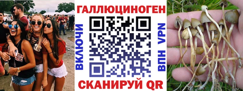 магазин    Ермолино  Псилоцибиновые грибы ЛСД 